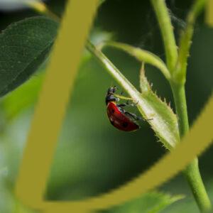 banco de fotografias