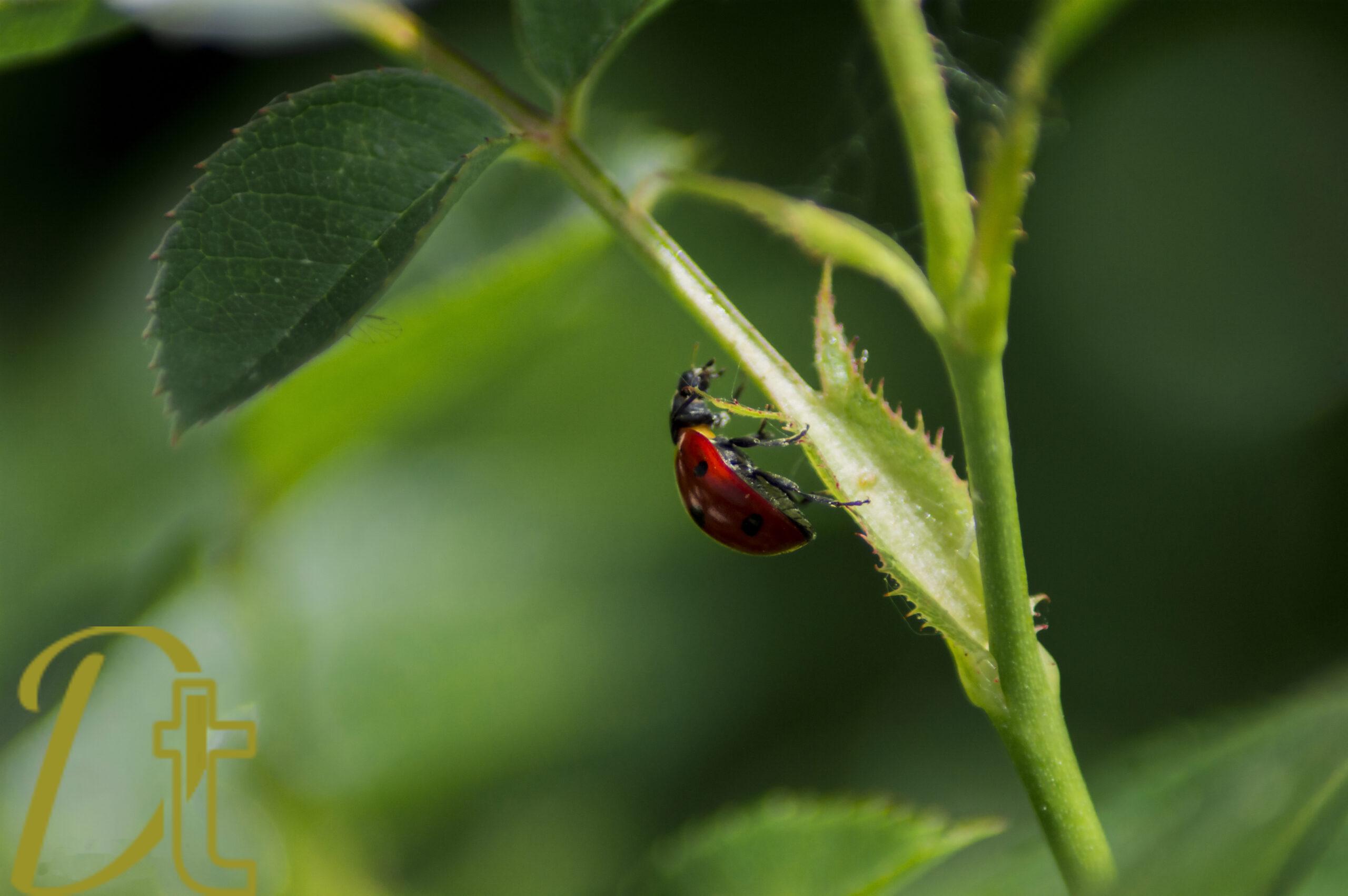 banco de fotografias