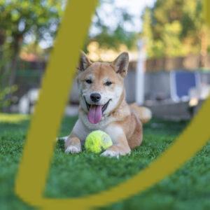 banco de fotografías e imágenes