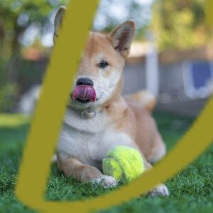 banco de fotografías e imágenes