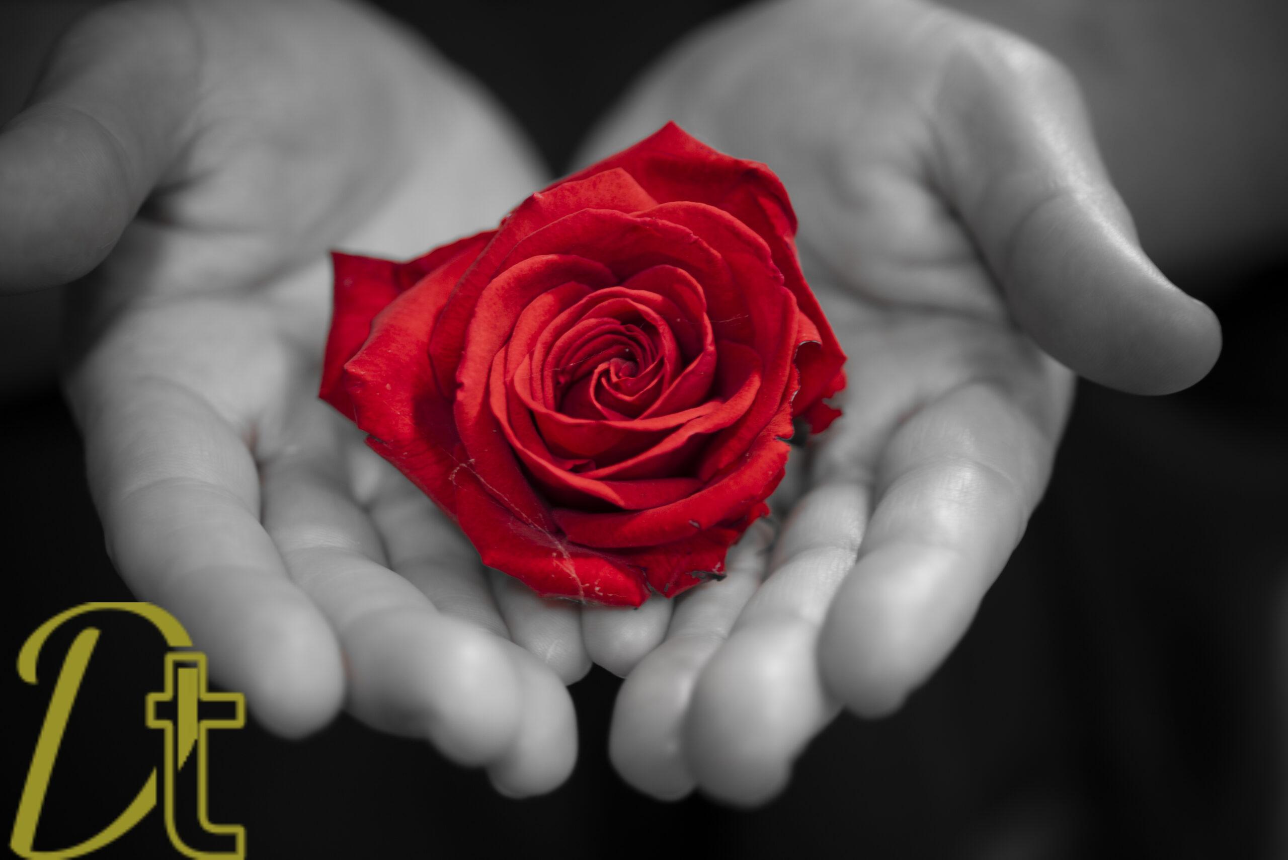 banco de fotografias