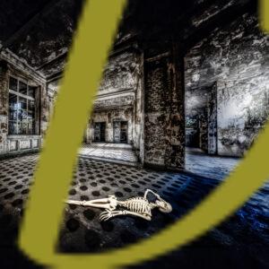 banco de fotografias