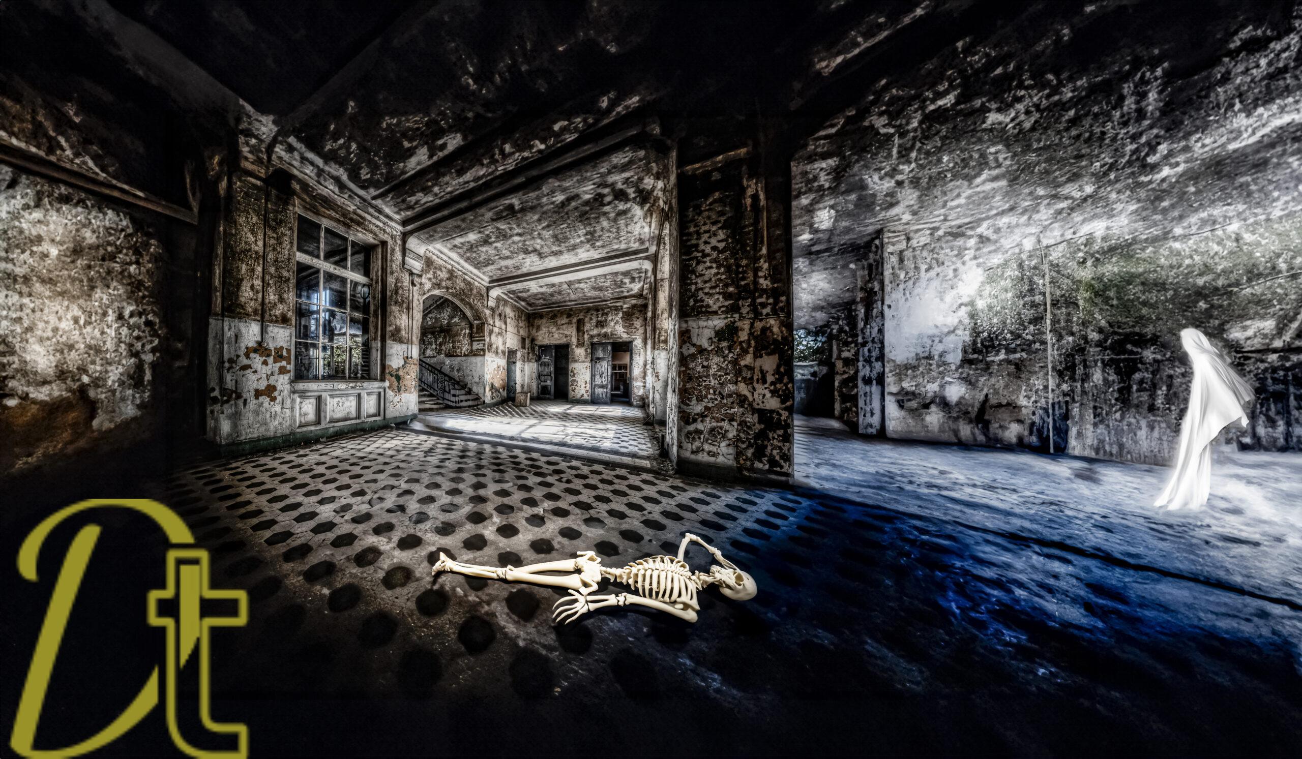 banco de fotografias