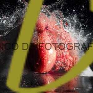 banco de fotografias minimalistas