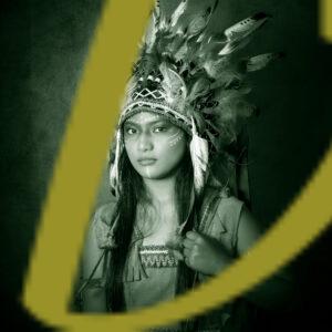 banco de fotografias e imagenes